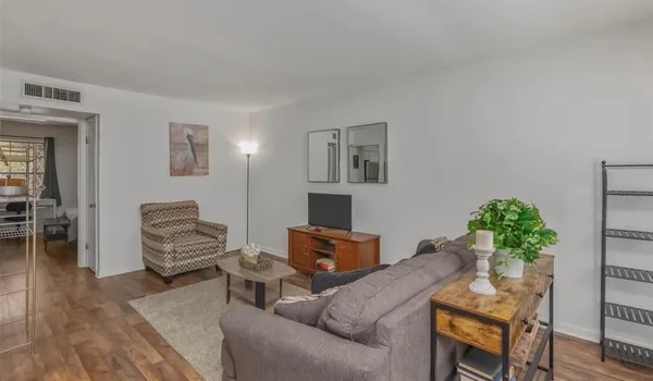 a living room with furniture and a potted plant