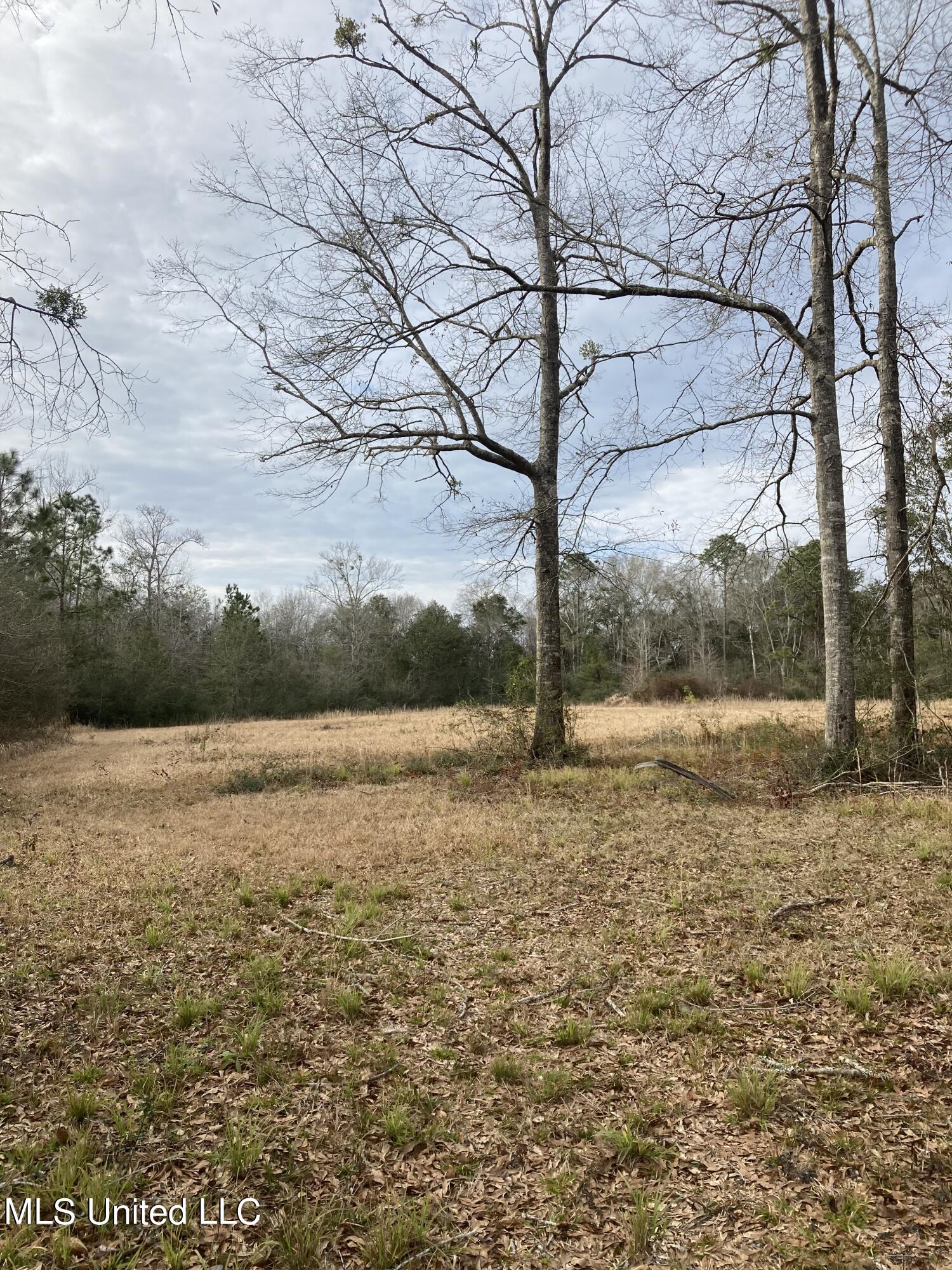 11069 County Farm Road Gulfport, MS 39503 - Photo 36 of 37 IMG_0580