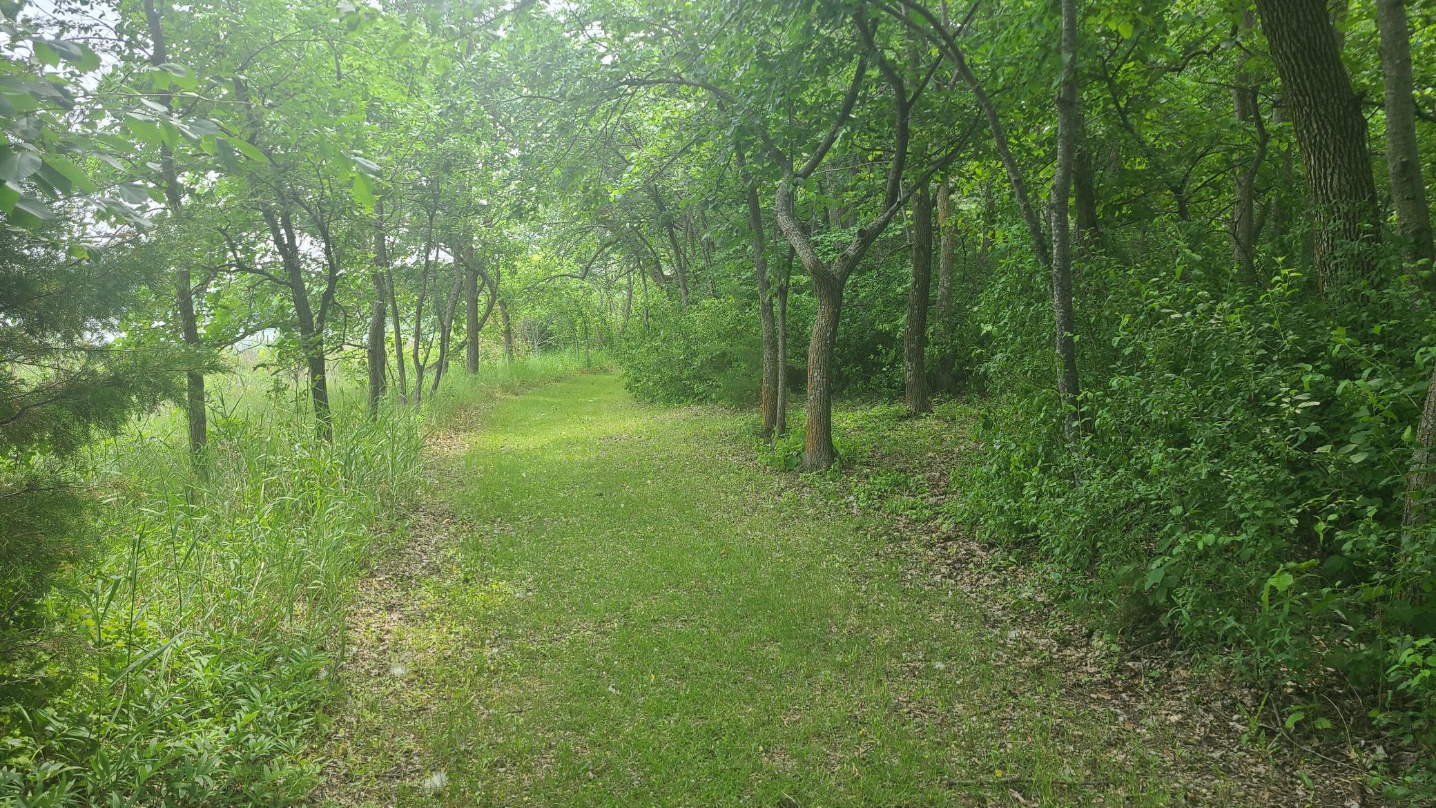 26373 Anna Lake Road Underwood, MN 56586 - Photo 22 of 39