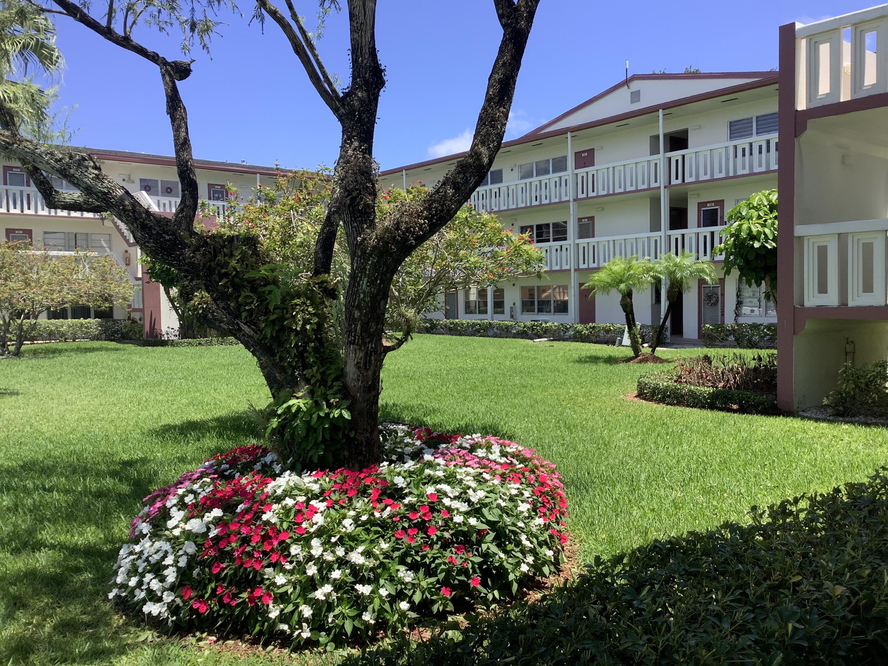 a view of a house with a big yard and potted plants