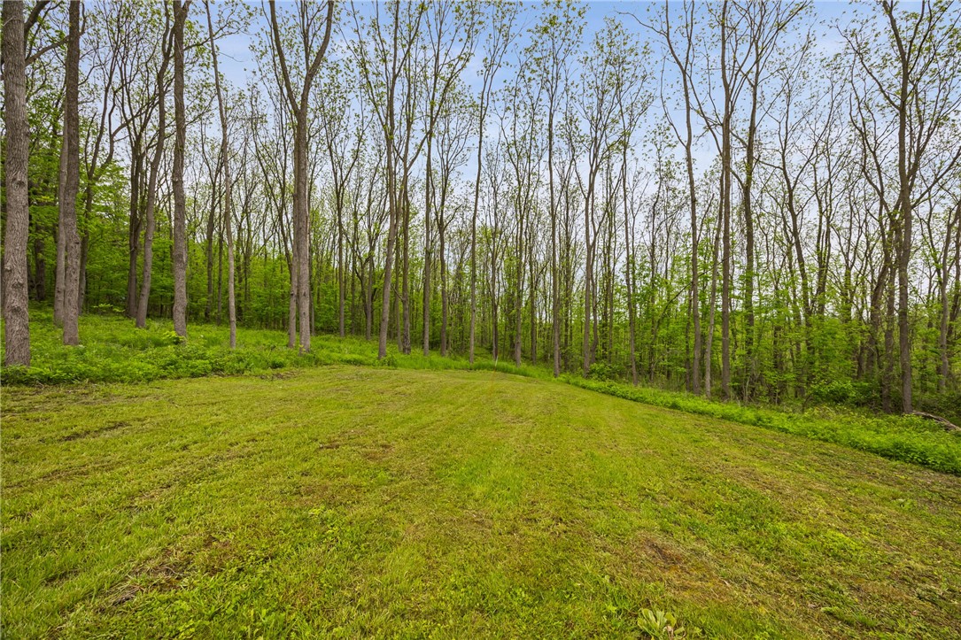 9380 Big Tree Road Richmond, NY 14466 - Photo 8 of 25