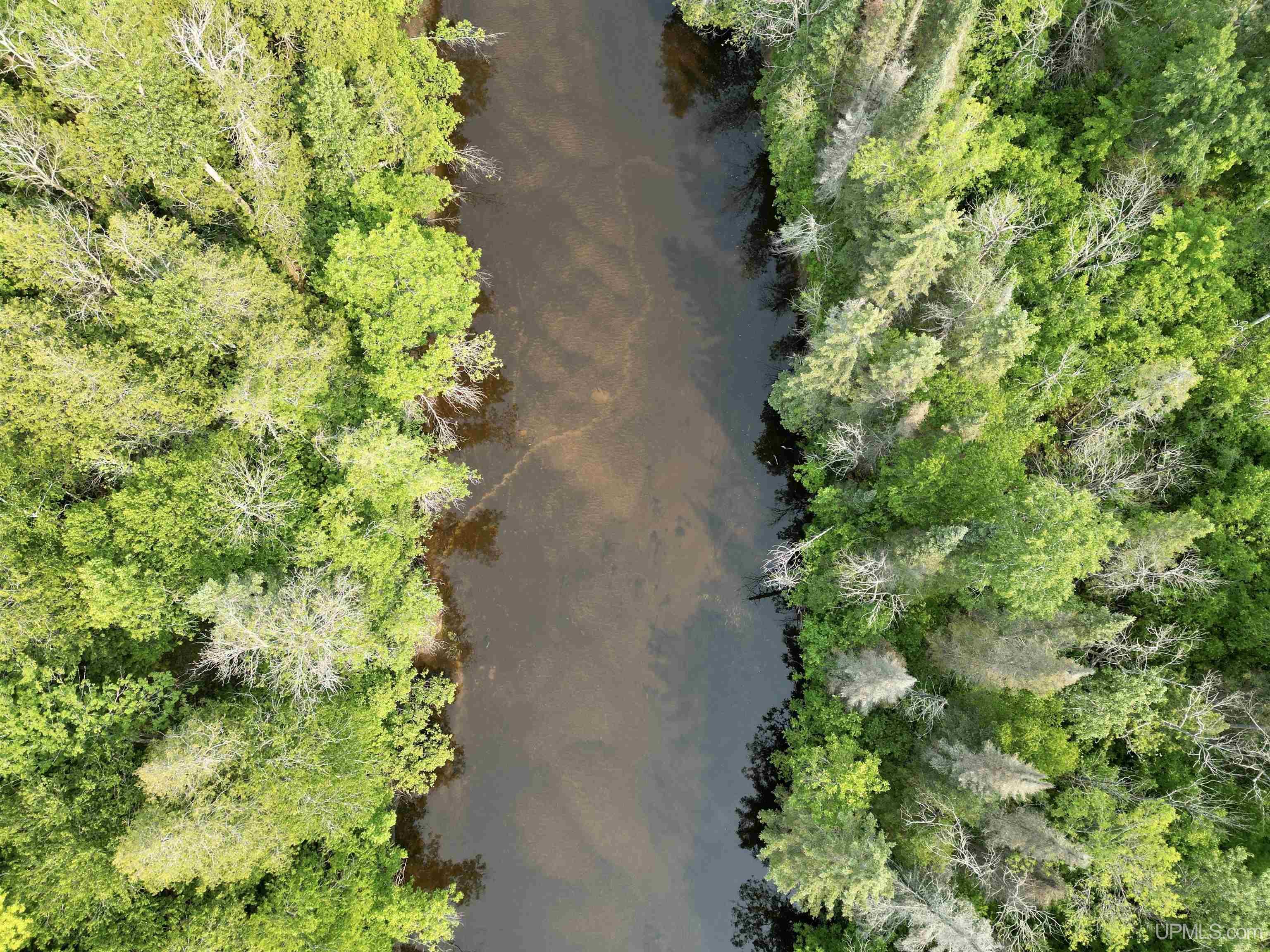 Nine Rd Felch Mi 49831 Road Felch, MI 49831 - Photo 2 of 16
