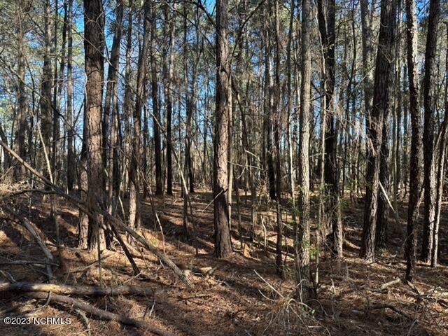 91 Old Colony Road Kinston, NC 28504 - Photo 1 of 1 Wooded Lot