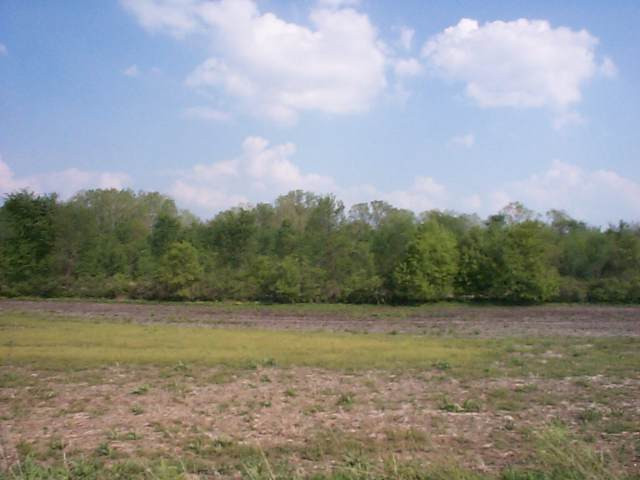 Par A Springport Road Eaton Rapids, MI 48827 - Photo 1 of 2 Photo 1