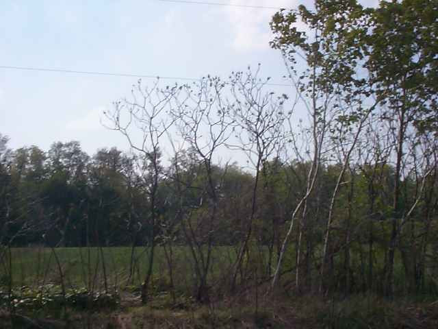 Par A Springport Road Eaton Rapids, MI 48827 - Photo 2 of 2 Photo 2