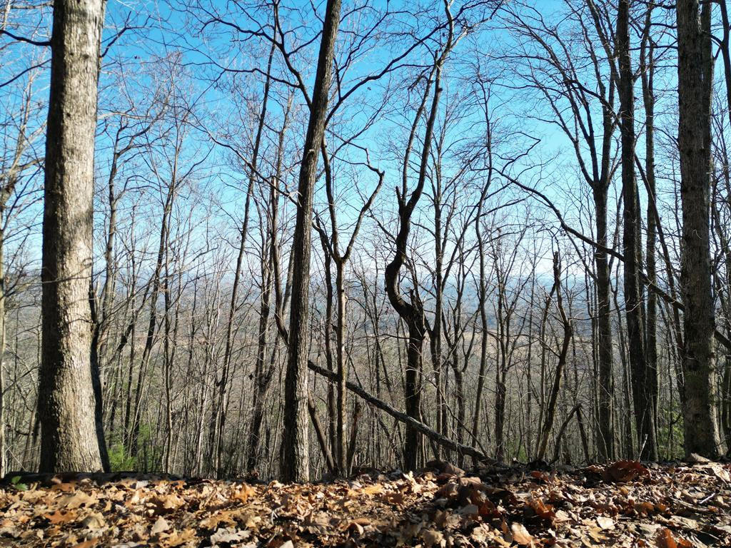 20.05-ac Treehouse Trail Murphy, NC 28906 - Photo 2 of 14