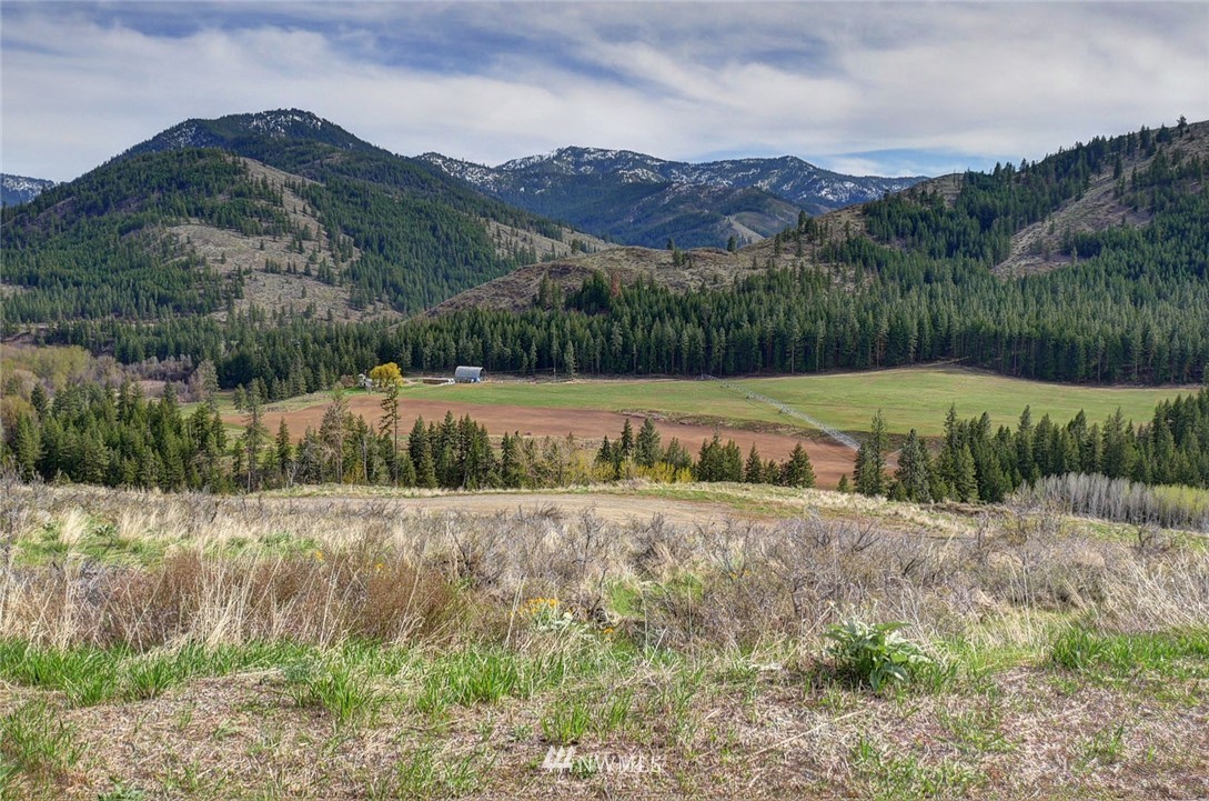 28 Glory Road Twisp, WA 98856 - Photo 2 of 25 Gallery Image 2