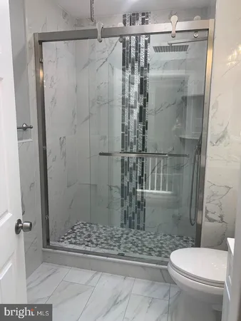 a bathroom with a shower and a toilet
