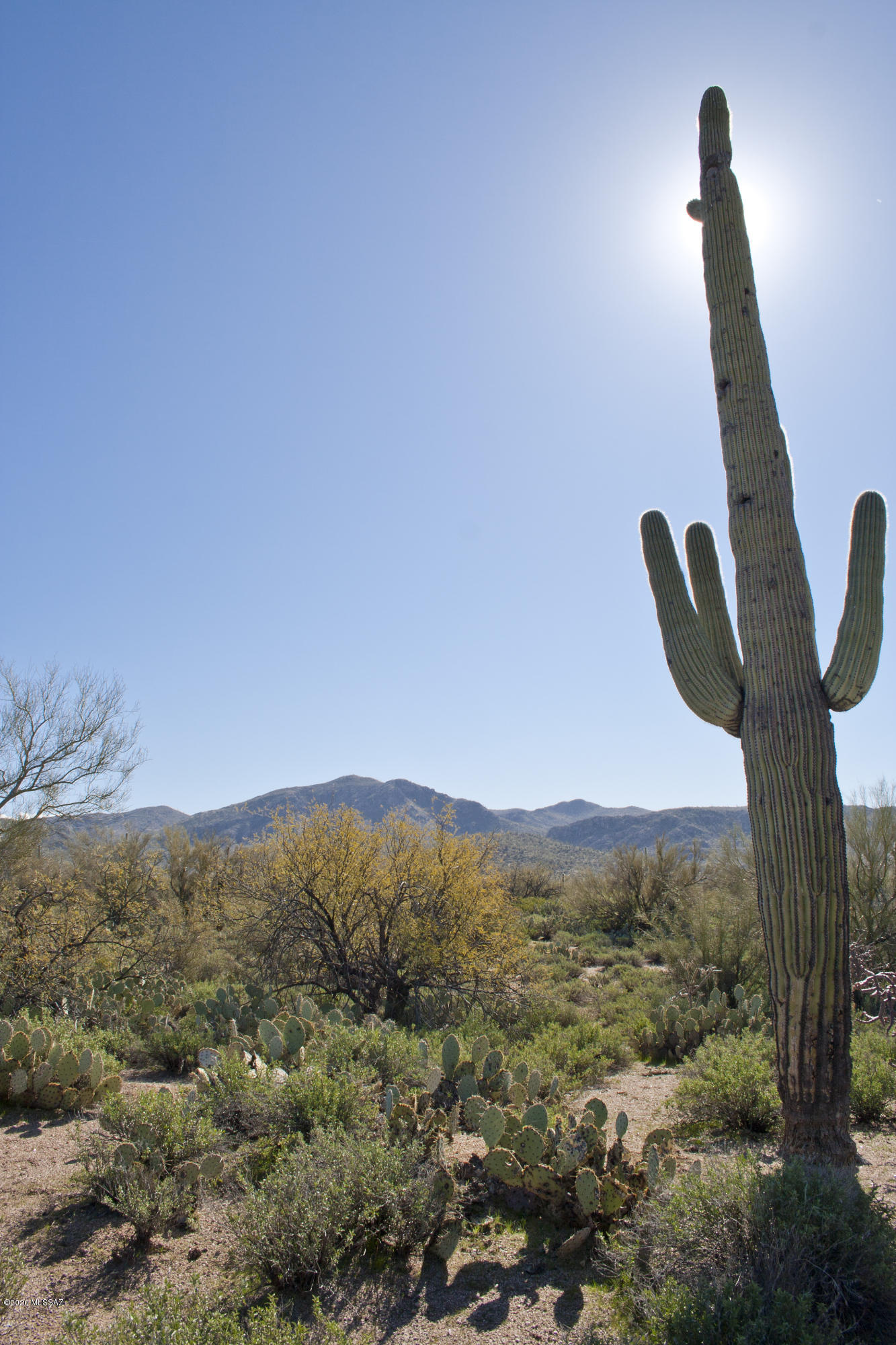 0 South Eastview Road Marana, AZ 85658 - Photo 28 of 32 Gallery Image 28