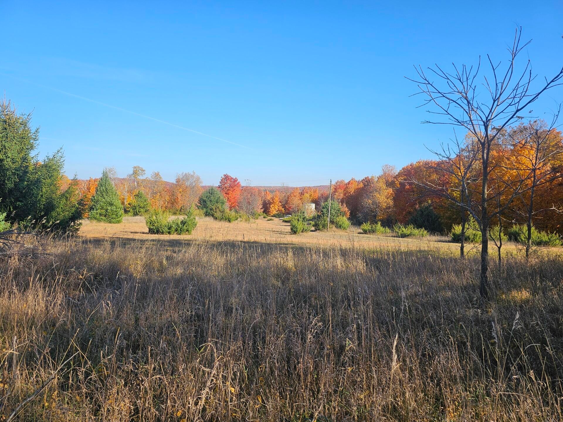 3513 Rogers Road East Jordan, MI 49727 - Photo 9 of 17 123_1005