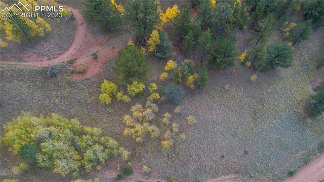 571 Beaver Pond Road Divide, CO 80814 - Photo 10 of 13 Gallery Image 10