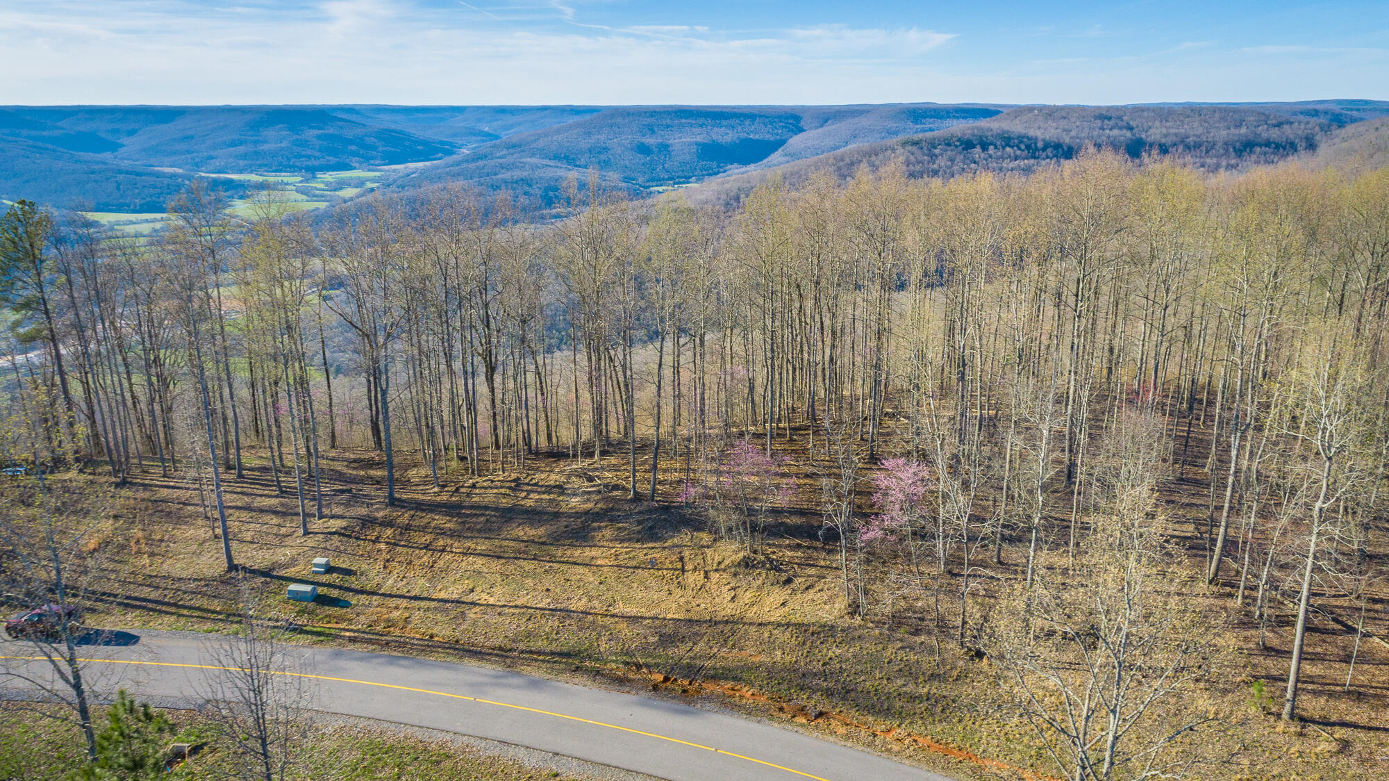 0 Cherokee Path, Unit JF269 Jasper, TN 37347 - Photo 64 of 94 0 Cherokee Path - JF269 HD-61
