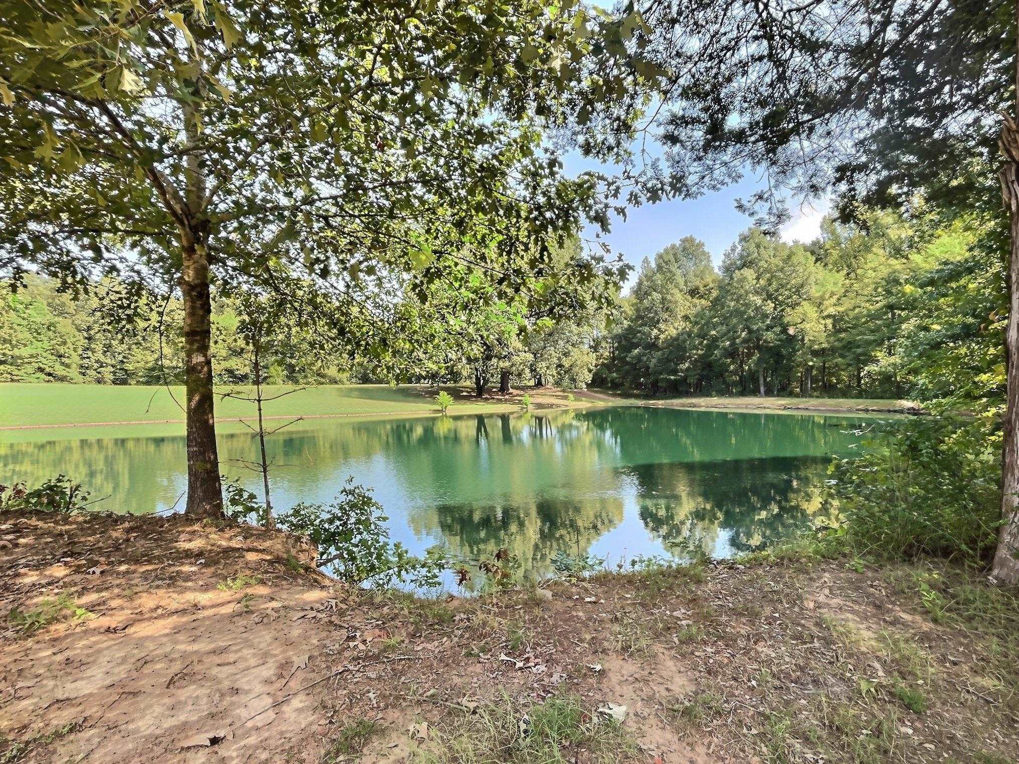 5985 Bobbitt Road Moscow, TN 38057 - Photo 4 of 39 Gallery Image 4
