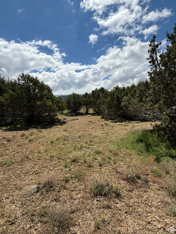 19 Old Highway 89, Unit 19 Spring City, UT 84662 - Photo 6 of 8