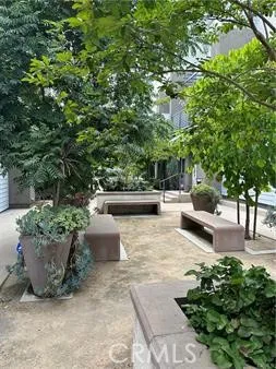 a view of a patio with couches and plants