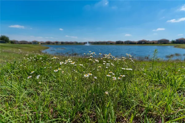 a view of a lake with houses in the background