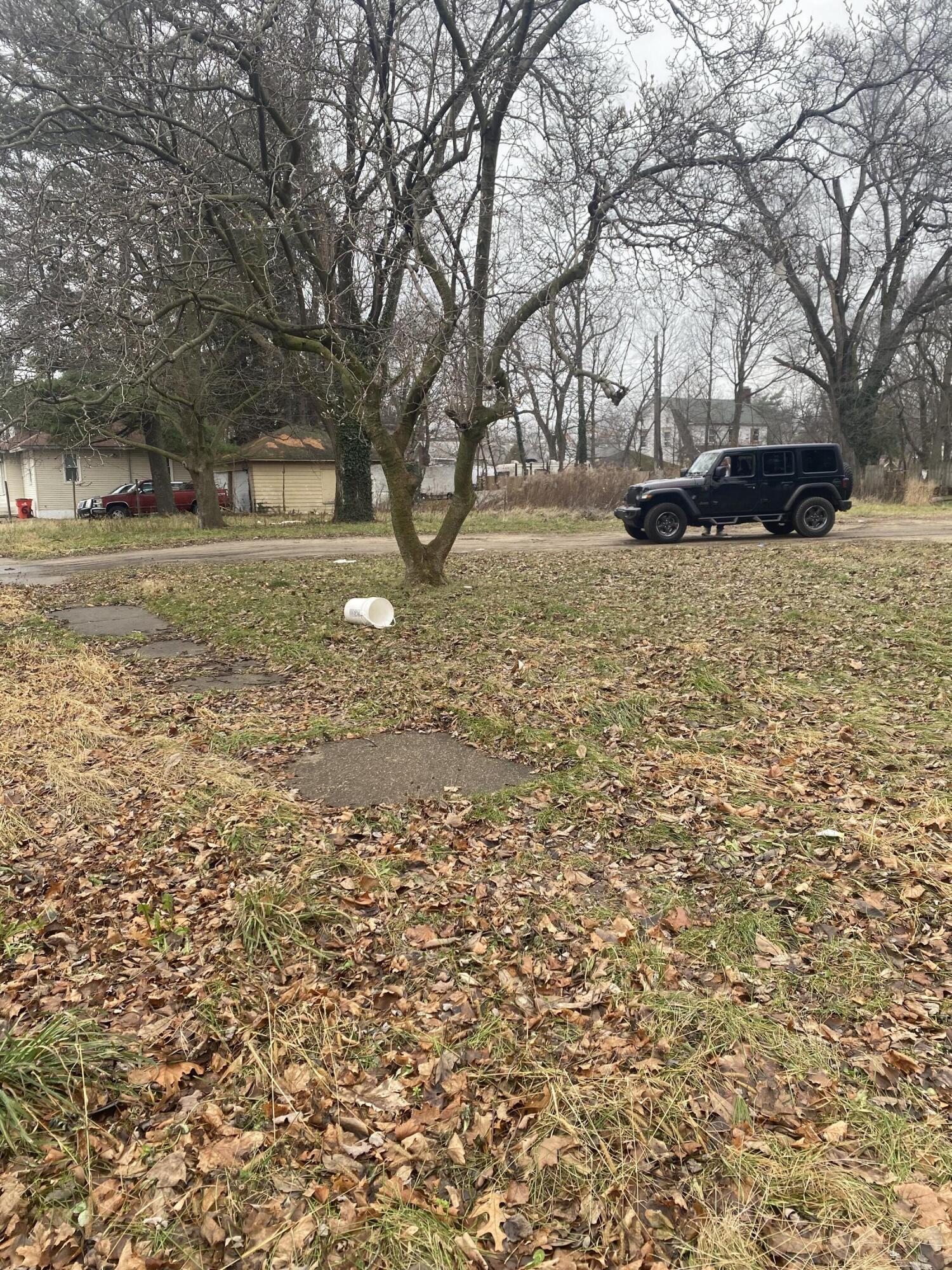 614 Pavone Street Benton Harbor, MI 49022 - Photo 3 of 4 IMG_4578