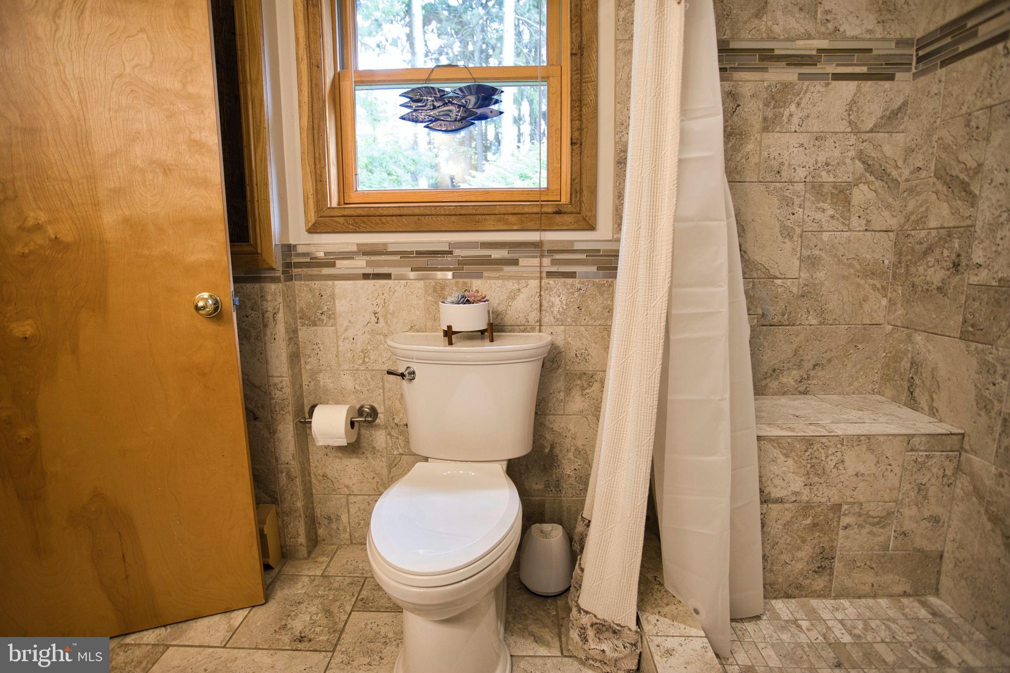 524 Bray School Road Oakland, MD 21550 - Photo 35 of 87 Full Bath Seated Shower