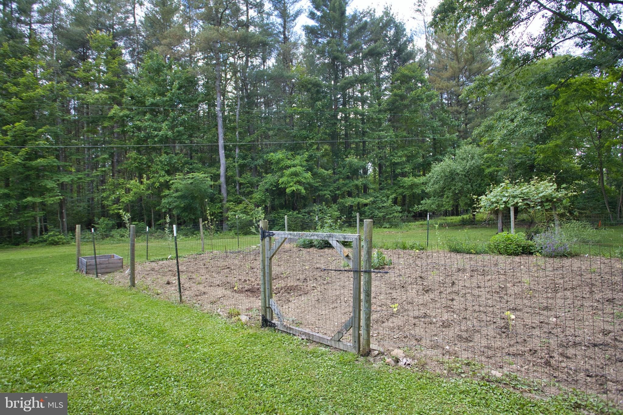 524 Bray School Road Oakland, MD 21550 - Photo 85 of 87 Large Garden Area