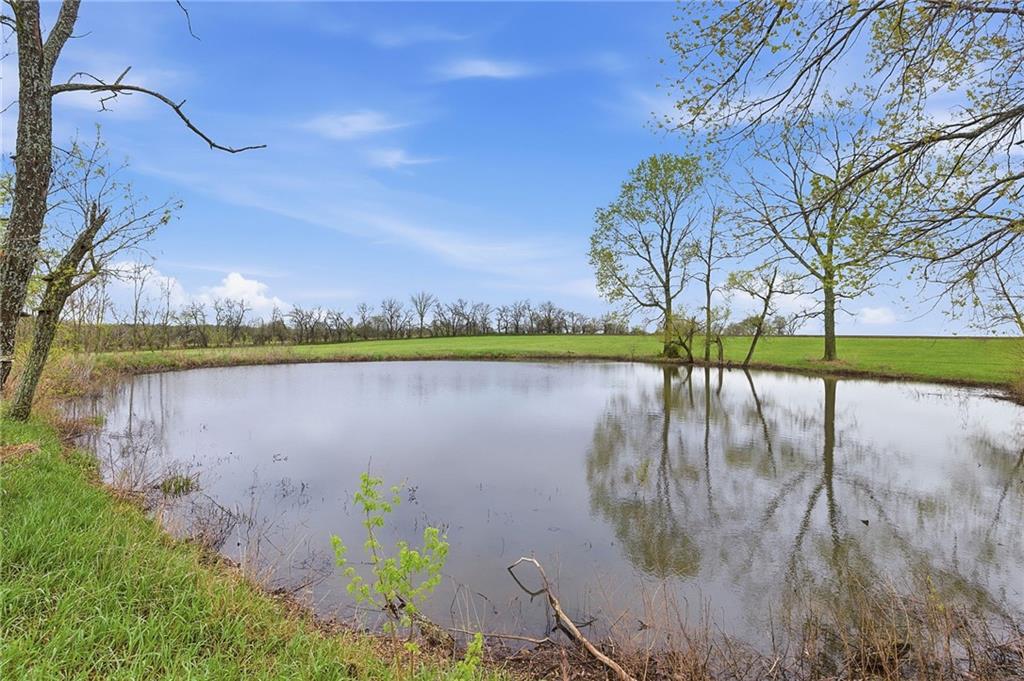 33419 State Rte F Garden City, MO 64747 - Photo 33 of 62