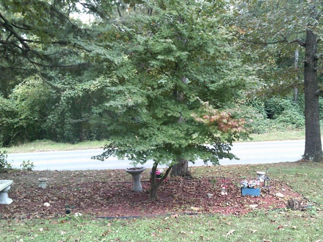 3168 Reed Road Tunnel Hill, GA 30755 - Photo 26 of 34 Gallery Image 26