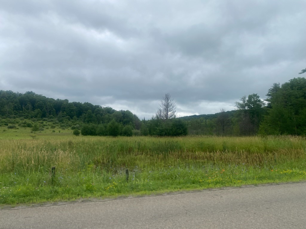 Marsh Road Lindley, NY 14858 - Photo 3 of 7