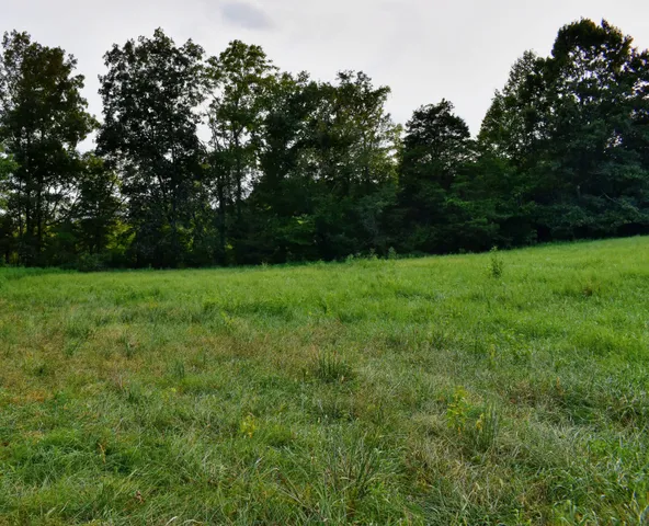 $675,000 | 9415 Old State Highway 28, Pikeville, TN 37367