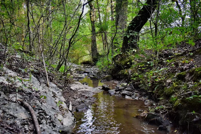 $675,000 | 9415 Old State Highway 28, Pikeville, TN 37367