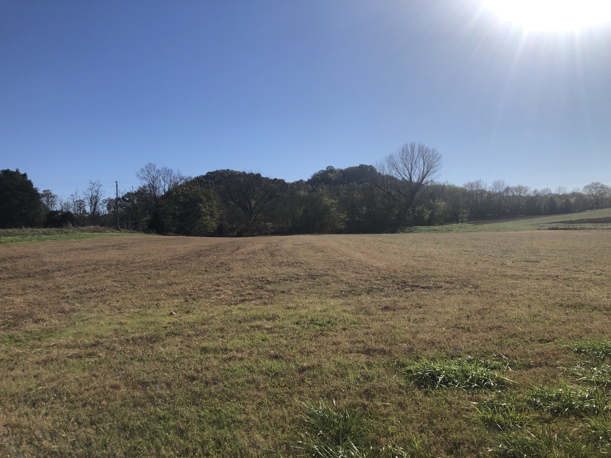 0 Browning Branch Road Bethpage, TN 37022 - Photo 1 of 3 Gallery Image 1
