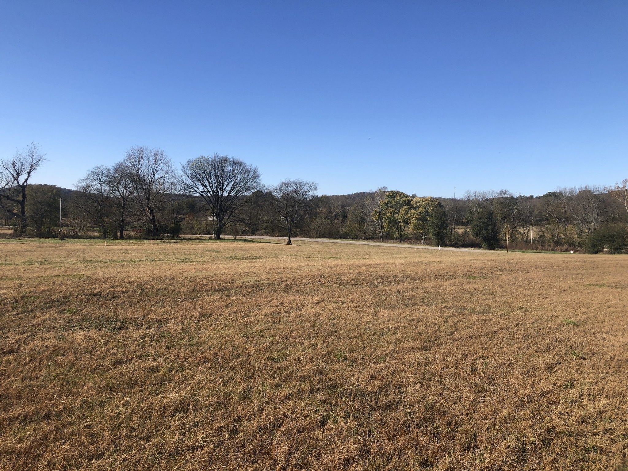 0 Browning Branch Road Bethpage, TN 37022 - Photo 3 of 3 Gallery Image 3