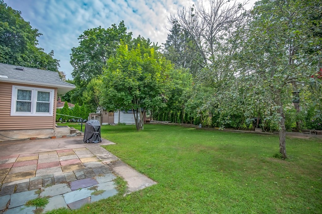 165 Bacon Road Springfield, MA 01119 - Photo 5 of 40 a view of a backyard with a garden