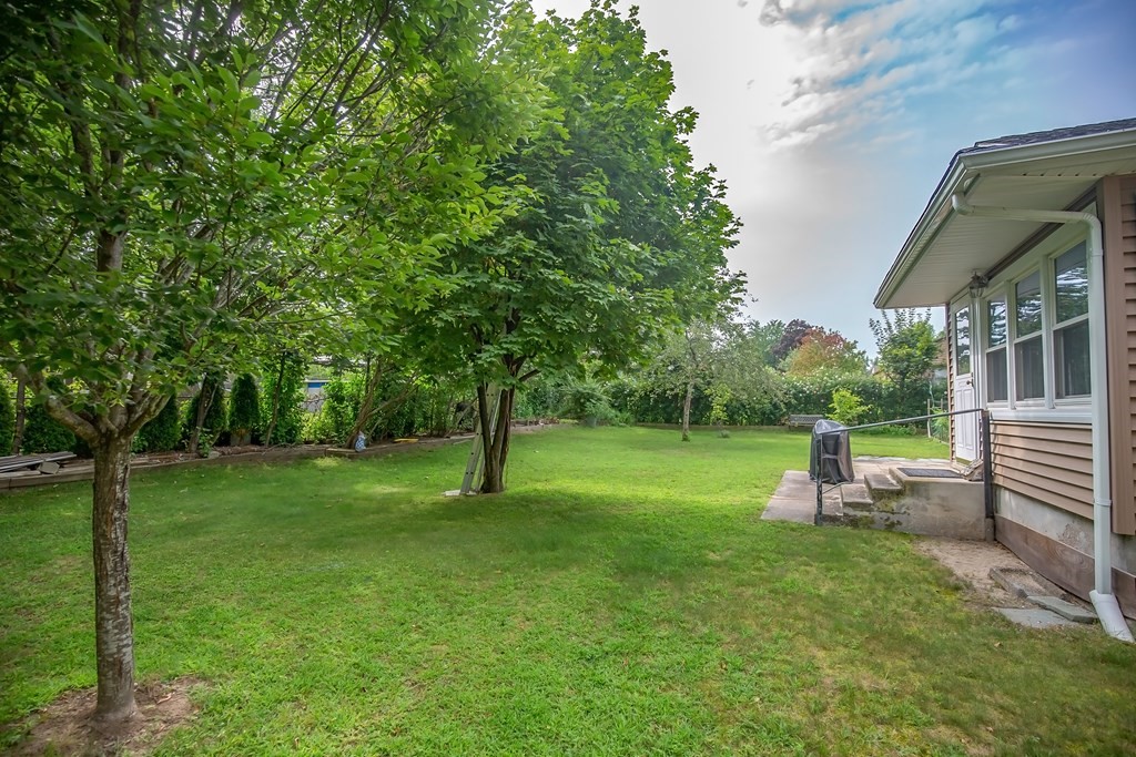 165 Bacon Road Springfield, MA 01119 - Photo 9 of 40 a view of a garden with a slide