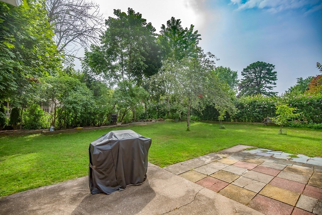 165 Bacon Road Springfield, MA 01119 - Photo 10 of 40 a view of a garden with plants and large trees