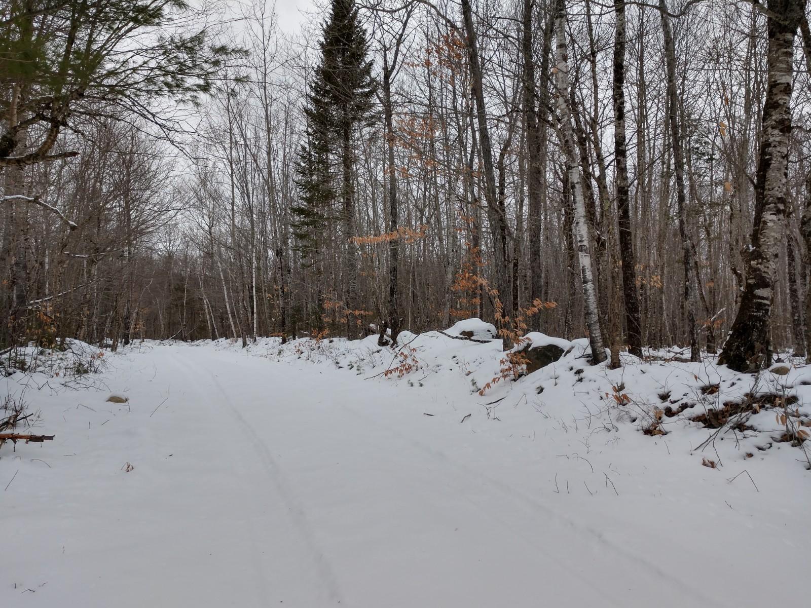 Lot 24 Hardwood Ridge Road Deblois, ME 04622 - Photo 2 of 8 IMG_20200110_101856426_HDR