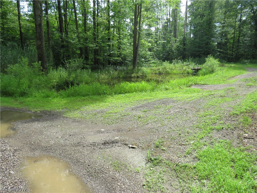 4901 Laskey Road Rome, OH 44085 - Photo 18 of 18