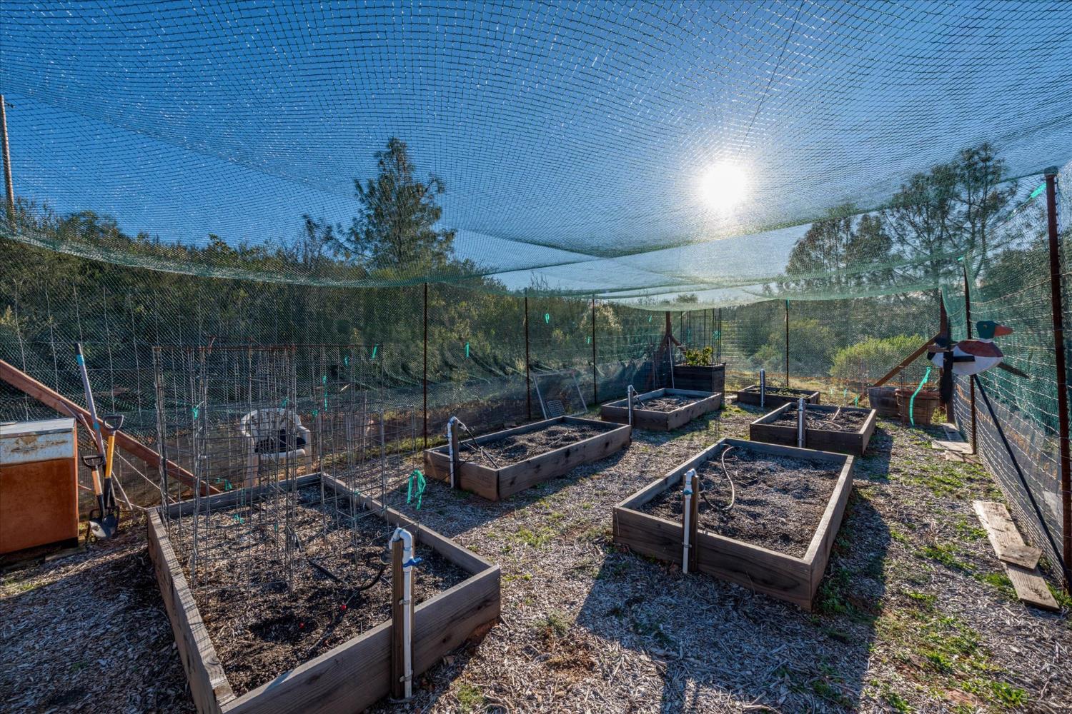 5880 Bumper Road El Dorado, CA 95623 - Photo 45 of 71 a outdoor space with lots of trees in the background