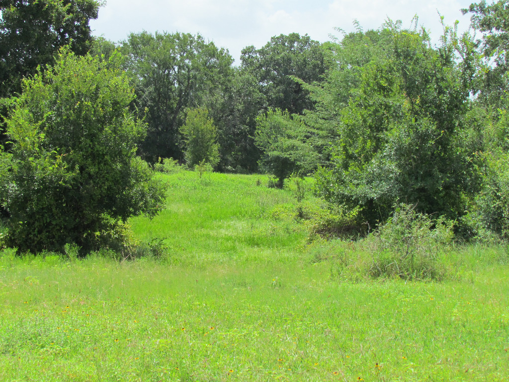 2104 Rd Smithville Tx 78957 Road Smithville, TX 78957 - Photo 1 of 1 Gallery Image 1