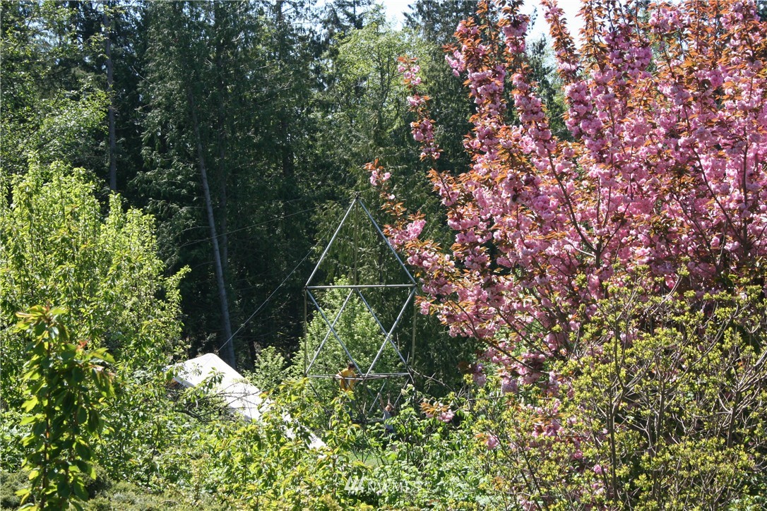 7118 Fiske Road Clinton, WA 98236 - Photo 22 of 24 Gallery Image 22