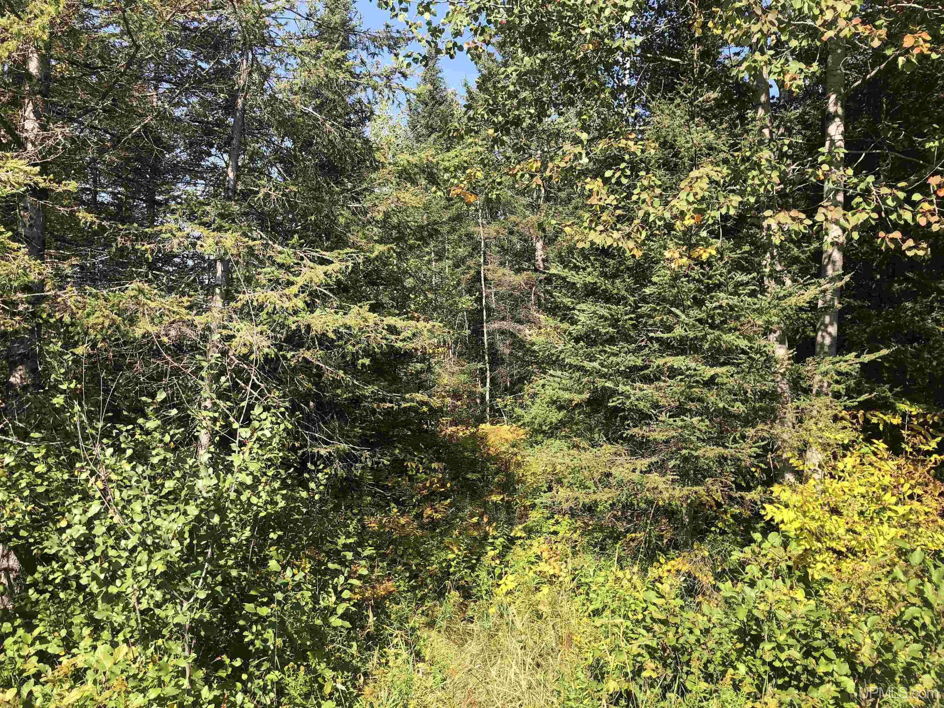 Tbd Tbd Friday Road Rapid River, MI 49878 - Photo 1 of 4