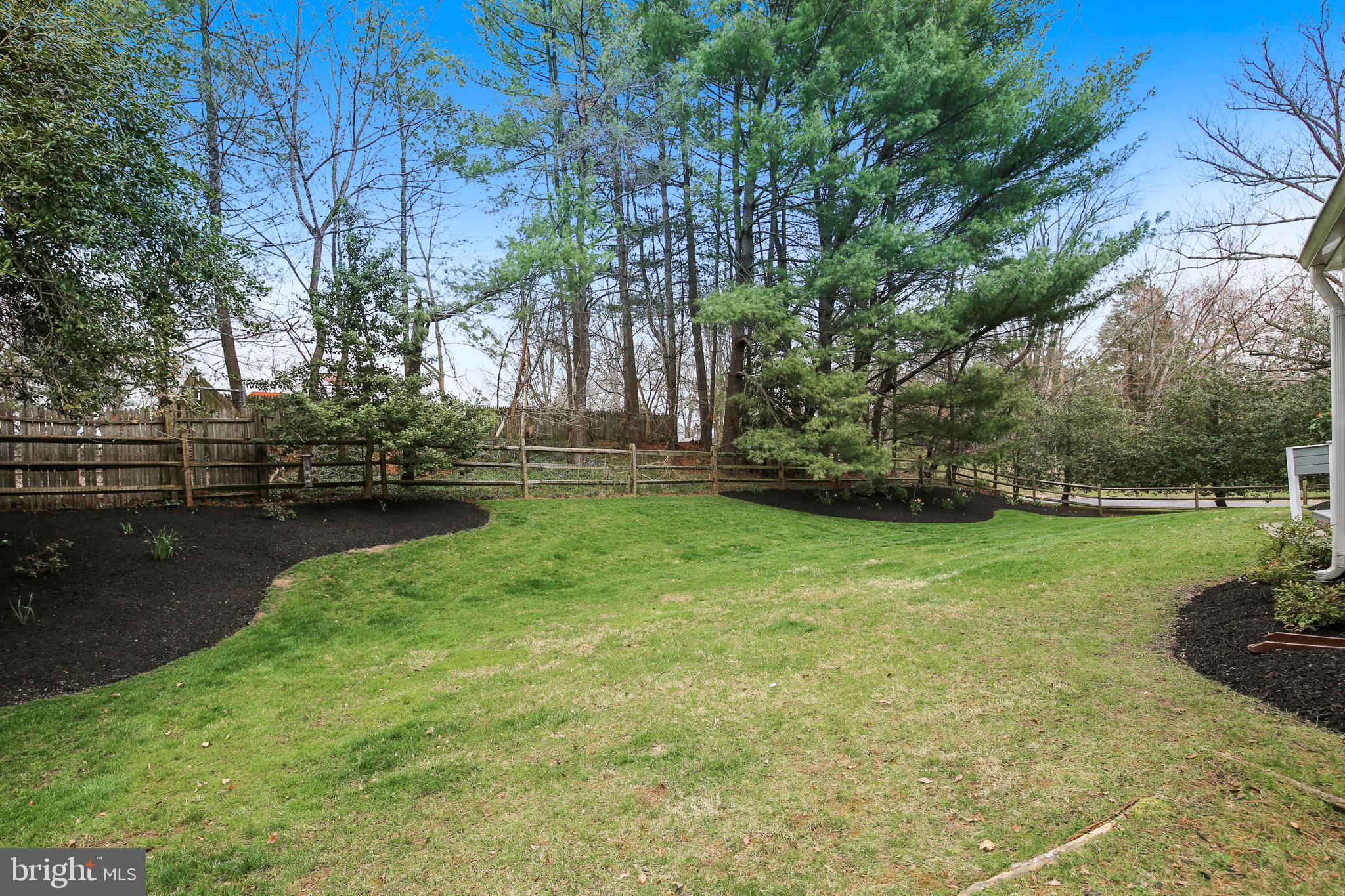 8801 Cold Spring Road Potomac, MD 20854 - Photo 18 of 44 a view of backyard with green space