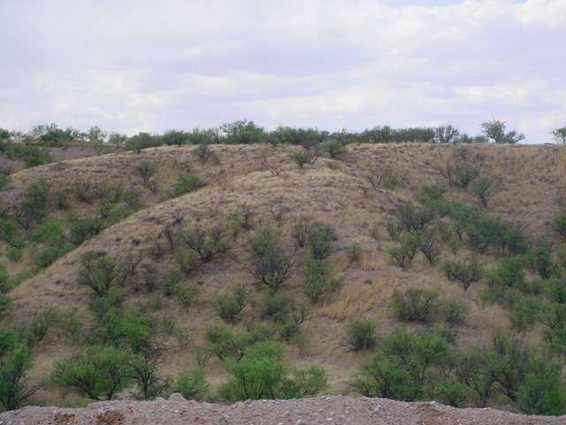 872 Ca Calabasas Rio Rico Az 85648 Rio Rico, AZ 85648 - Photo 8 of 9