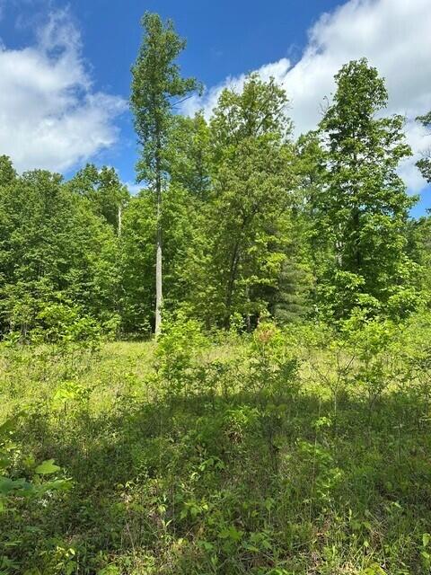 142 Cole Road Deer Lodge, TN 37726 - Photo 34 of 77 39