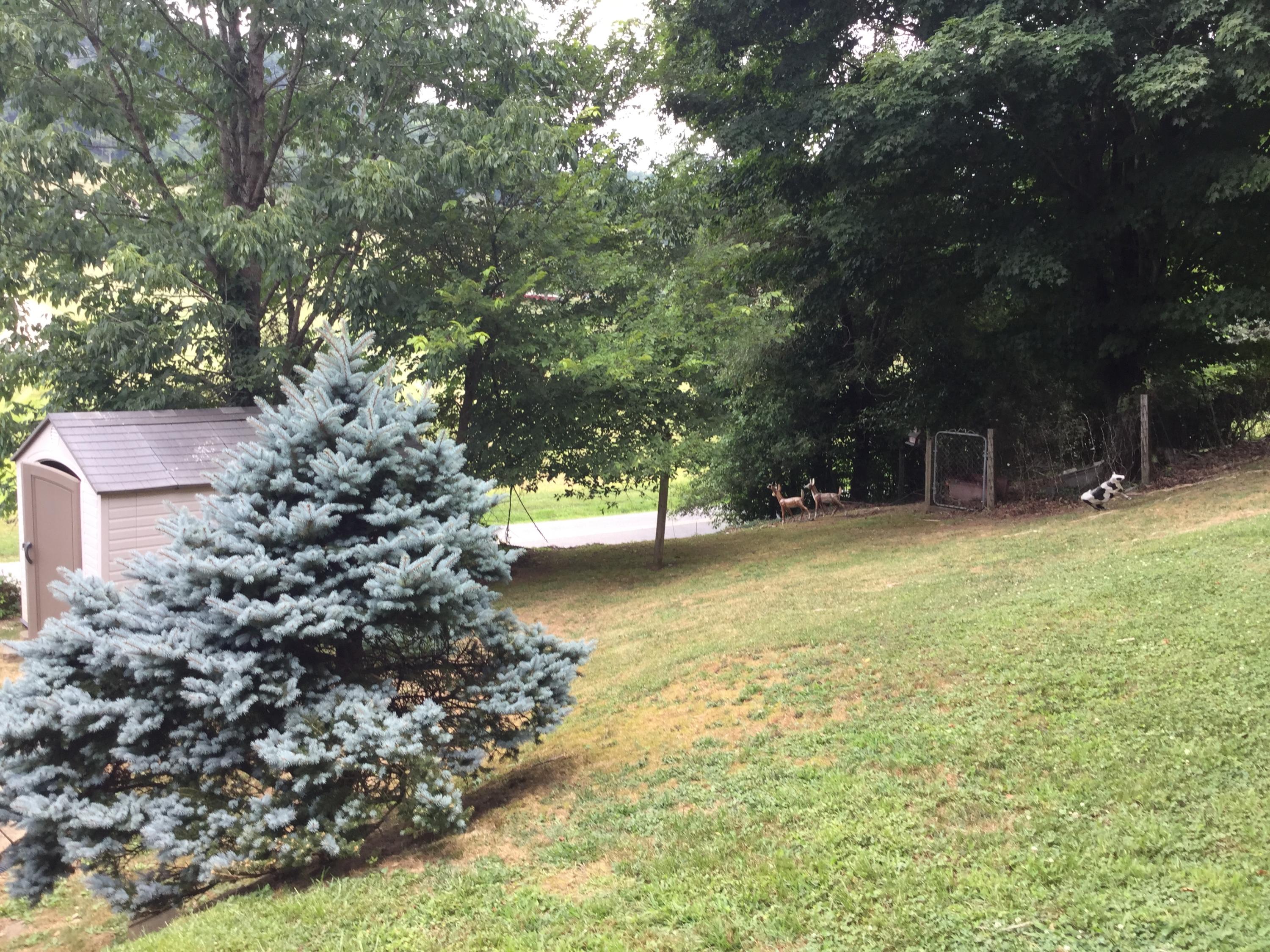 812 Chadwell Road Kingsport, TN 37660 - Photo 34 of 38 DC70F2E4-A0AC-4A37-8E7E-BA0872285786