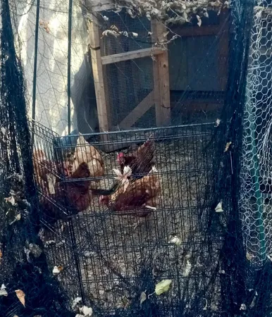 $72,000 | 207 West Williams Street, Dwight, IL 60420