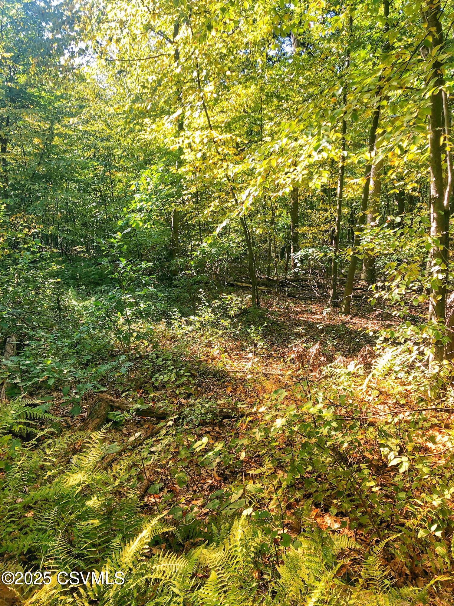 40 Wood Ridge Lane Klingerstown, PA 17941 - Photo 8 of 12