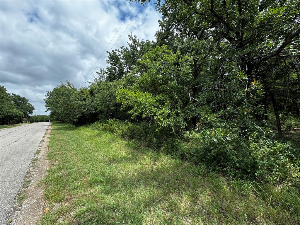 4044 High Point Drive Whitney, TX 76692 - Photo 3 of 14 a view of a yard with plants and a tree