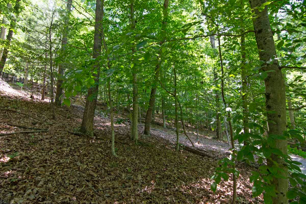 751-771 Lipps Road Lewisburg, WV 24901 - Photo 12 of 43 Gallery Image 12