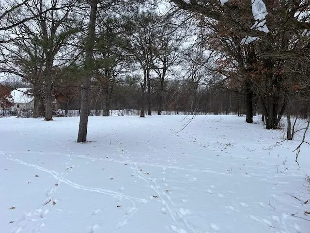 $575,000 | 7312 170th Avenue, Royalton, MN 56373