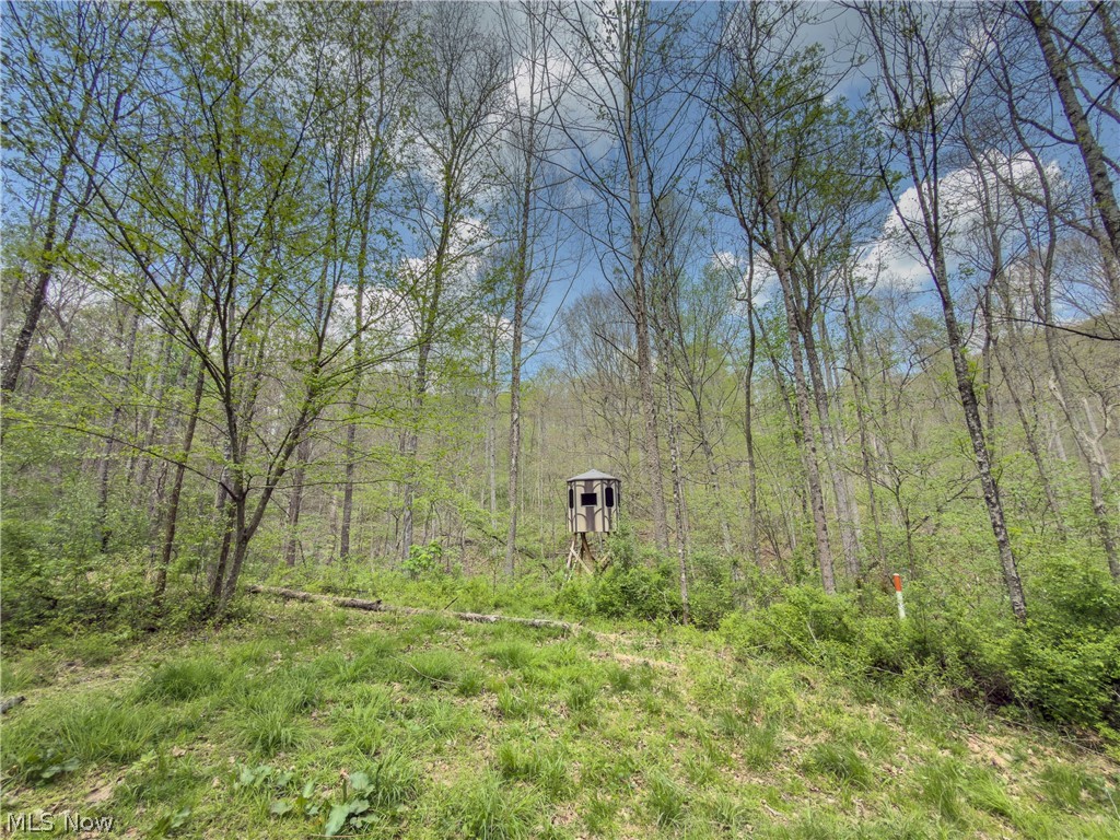 Beardmore Road Wingett Run, OH 45789 - Photo 29 of 43
