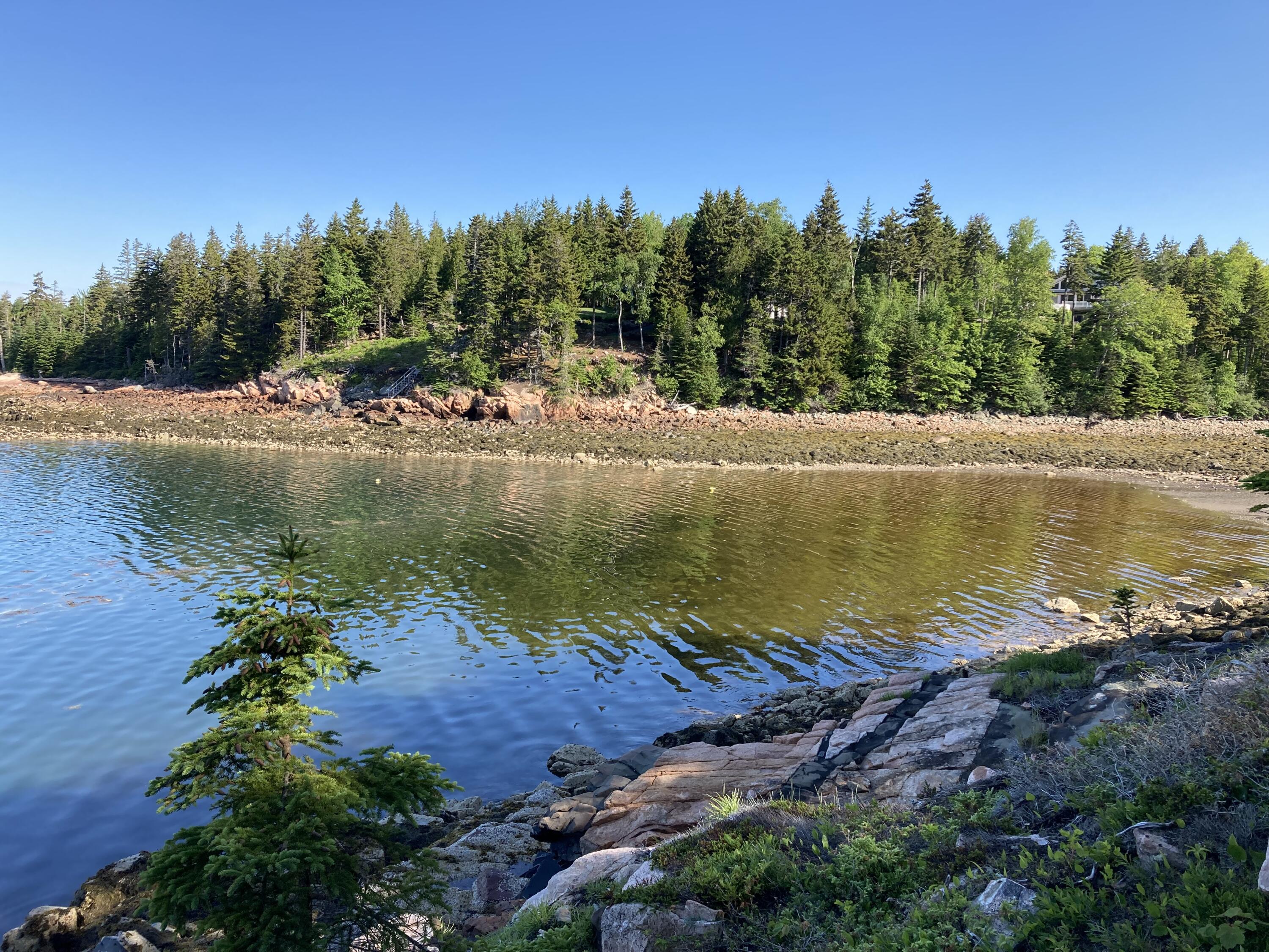 145 Summer Harbor Road Gouldsboro, ME 04607 - Photo 4 of 36 Myrick Cove from the shorefrontage.